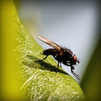 /album/latifesultanyatcilik/photolia-a04-jpg/