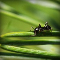 /album/latifesultanyatcilik/photolia-a05-jpg/