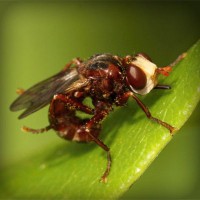 /album/latifesultanyatcilik/photolia-a06-jpg/