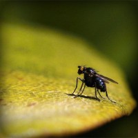 /album/latifesultanyatcilik/photolia-a07-jpg/